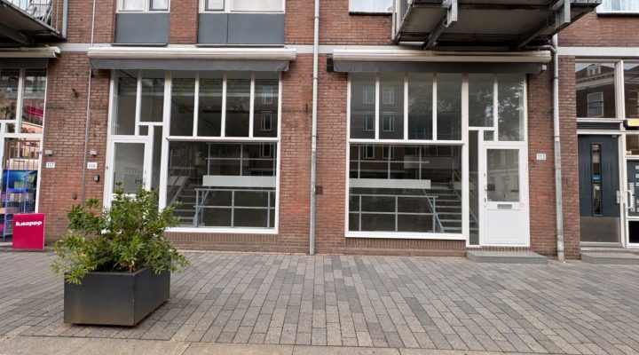 Van Oldenbarneveltstraat 113-115
